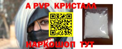 СК Ярославль