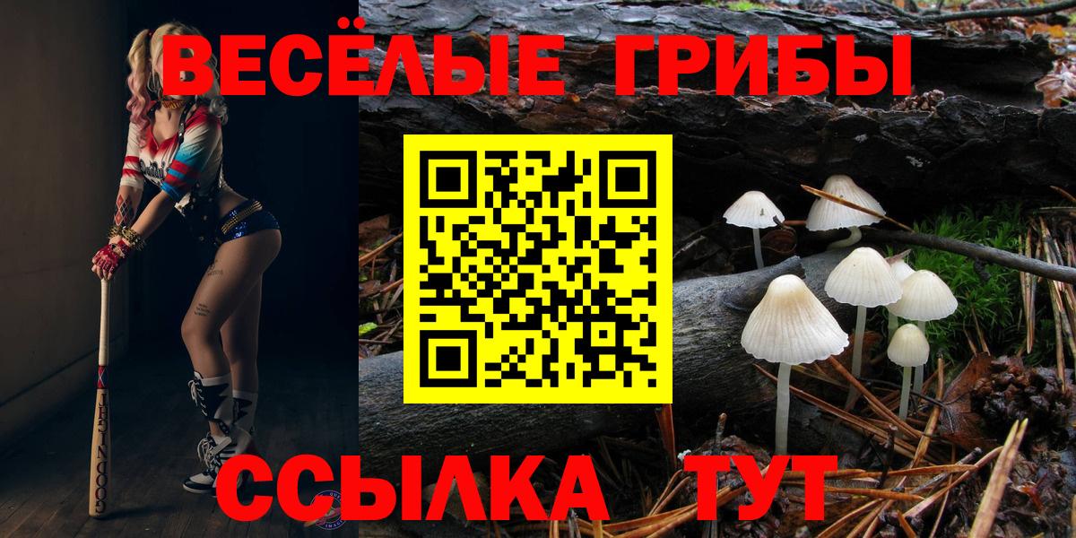 Сибай  Псилоцибиновые грибы прущие грибы  Вход с VPN 